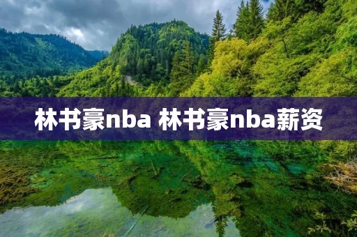 林书豪nba 林书豪nba薪资 林书豪nba 林书豪nba薪资