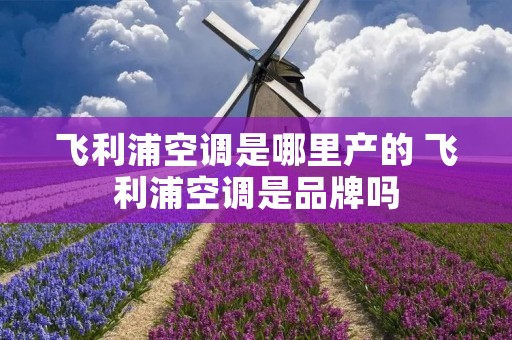 飞利浦空调是哪里产的 飞利浦空调是品牌吗