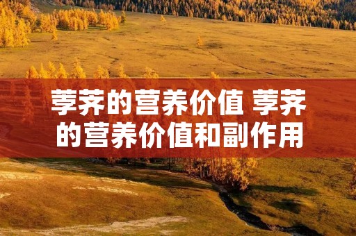 荸荠的营养价值 荸荠的营养价值和副作用