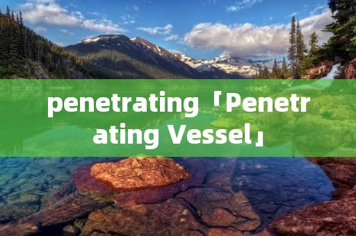 penetrating「Penetrating Vessel」