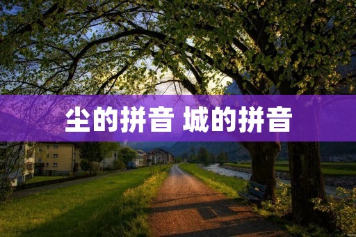 尘的拼音 城的拼音