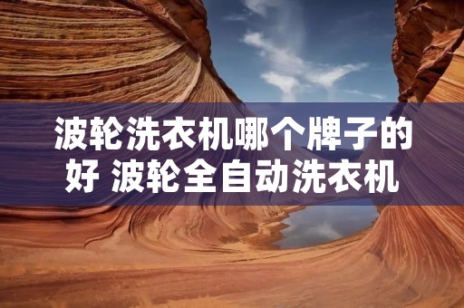 波轮洗衣机哪个牌子的好 波轮全自动洗衣机哪个牌子好