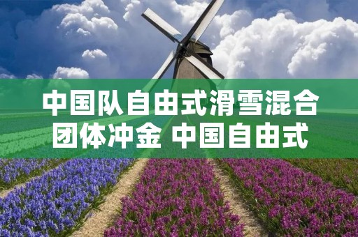 中国队自由式滑雪混合团体冲金 中国自由式滑雪队队员名单 中国队自由式滑雪混合团体冲金 中国自由式滑雪队队员名单