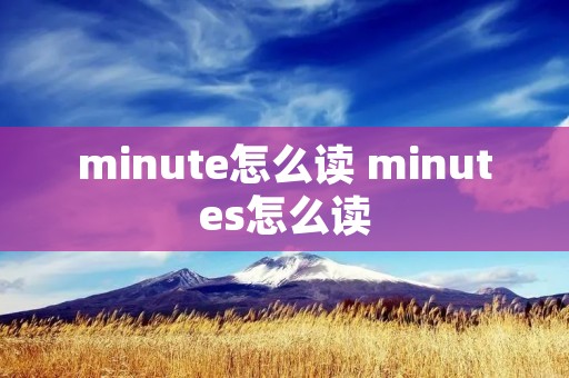 minute怎么读 minutes怎么读