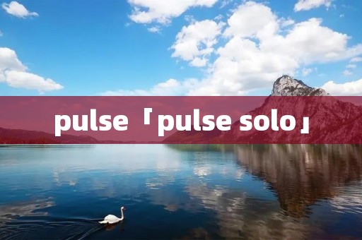 pulse「pulse solo」