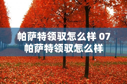 帕萨特领驭怎么样 07帕萨特领驭怎么样