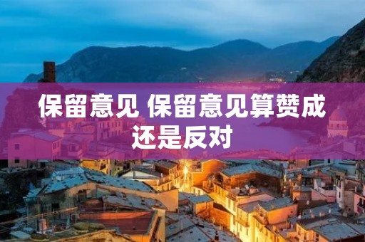 保留意见 保留意见算赞成还是反对