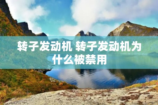 转子发动机 转子发动机为什么被禁用