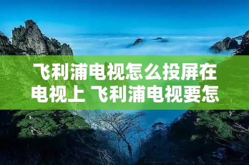 飞利浦电视怎么投屏在电视上 飞利浦电视要怎么投屏 飞利浦电视怎么投屏在电视上 飞利浦电视要怎么投屏