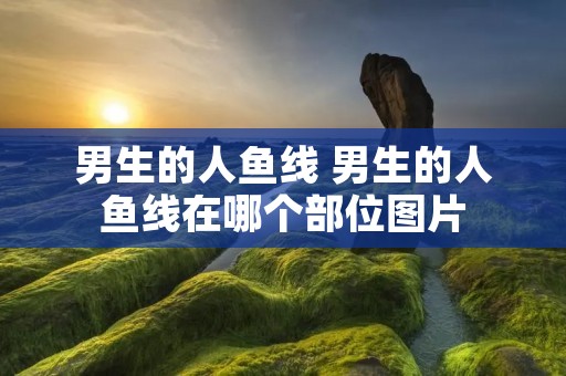 男生的人鱼线 男生的人鱼线在哪个部位图片