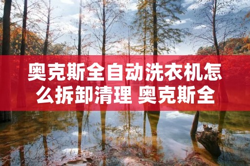 奥克斯全自动洗衣机怎么拆卸清理 奥克斯全自动洗衣机怎么拆洗