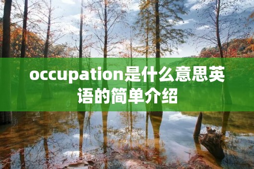 occupation是什么意思英语的简单介绍