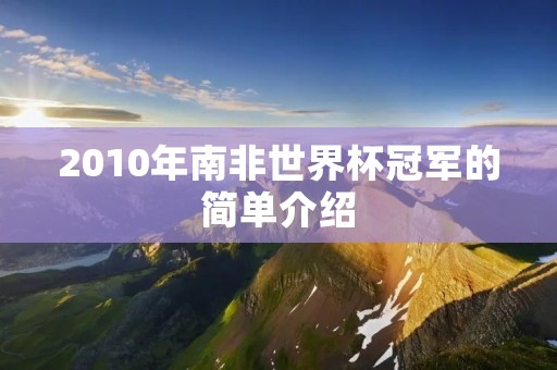 2010年南非世界杯冠军的简单介绍 2010年南非世界杯冠军的简单介绍