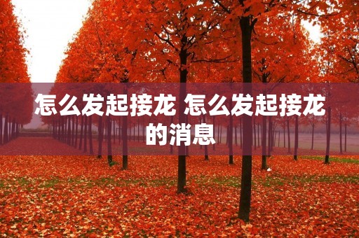 怎么发起接龙 怎么发起接龙的消息