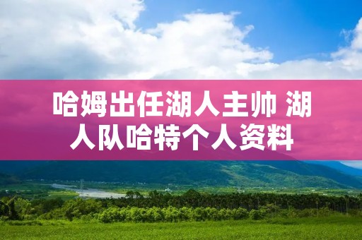 哈姆出任湖人主帅 湖人队哈特个人资料
