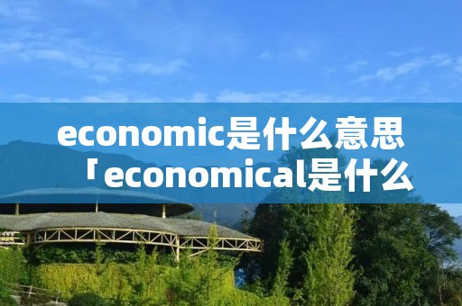 economic是什么意思「economical是什么意思」