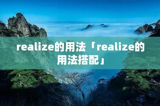 realize的用法「realize的用法搭配」