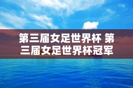 第三届女足世界杯 第三届女足世界杯冠军