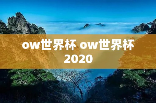 ow世界杯 ow世界杯2020