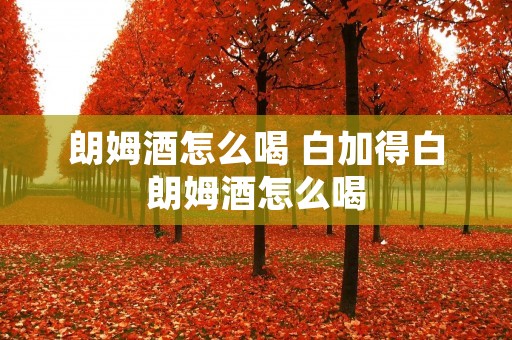 朗姆酒怎么喝 白加得白朗姆酒怎么喝