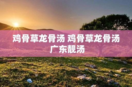 鸡骨草龙骨汤 鸡骨草龙骨汤 广东靓汤