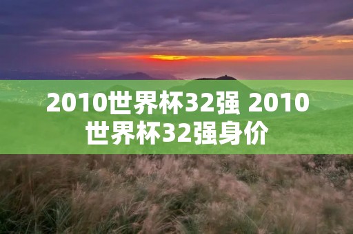 2010世界杯32强 2010世界杯32强身价