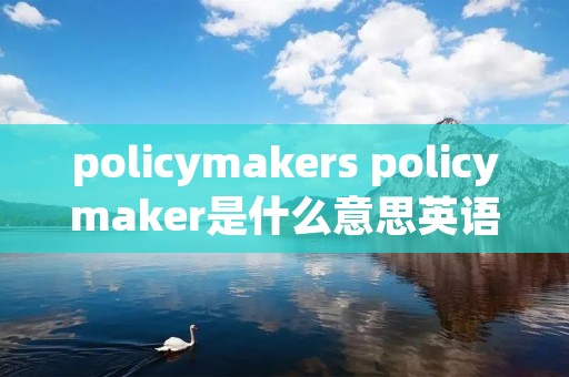 policymakers policymaker是什么意思英语