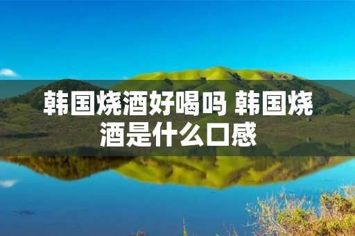 韩国烧酒好喝吗 韩国烧酒是什么口感