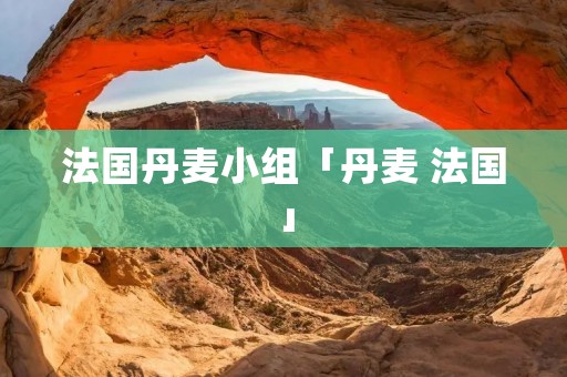 法国丹麦小组「丹麦 法国」 法国丹麦小组「丹麦 法国」