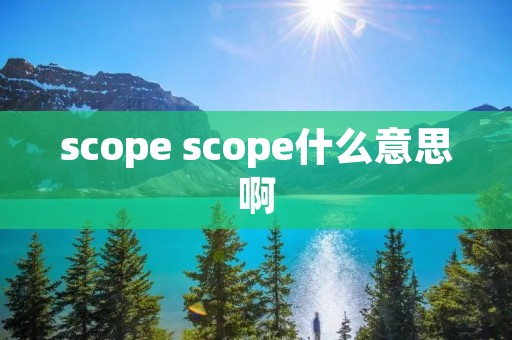scope scope什么意思啊 scope scope什么意思啊