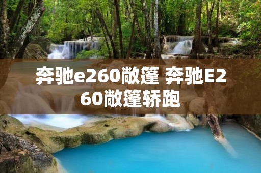 奔驰e260敞篷 奔驰E260敞篷轿跑