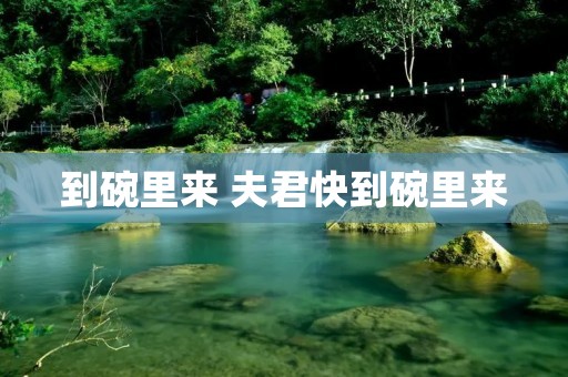 到碗里来 夫君快到碗里来