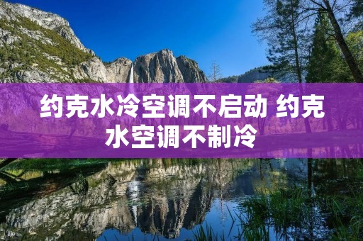 约克水冷空调不启动 约克水空调不制冷