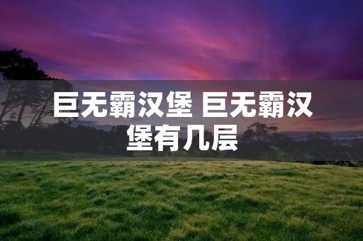 巨无霸汉堡 巨无霸汉堡有几层