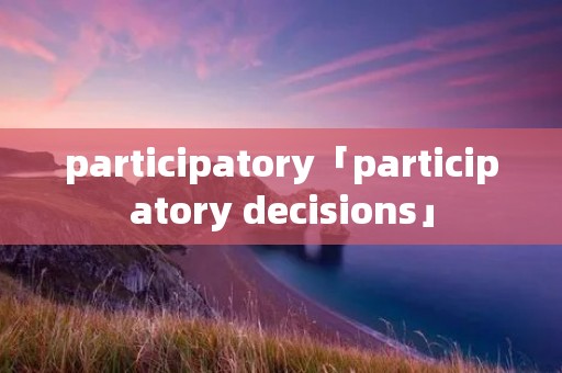 participatory「participatory decisions」 participatory「participatory decisions」