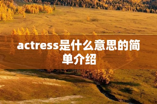 actress是什么意思的简单介绍