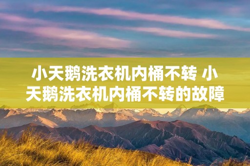小天鹅洗衣机内桶不转 小天鹅洗衣机内桶不转的故障