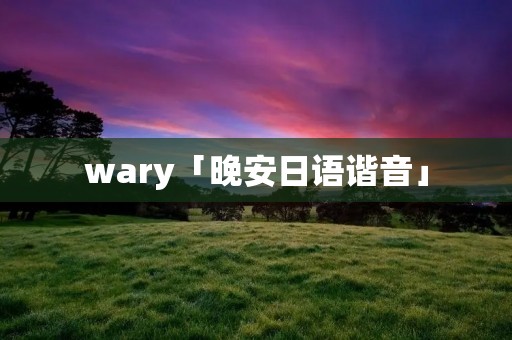 wary「晚安日语谐音」