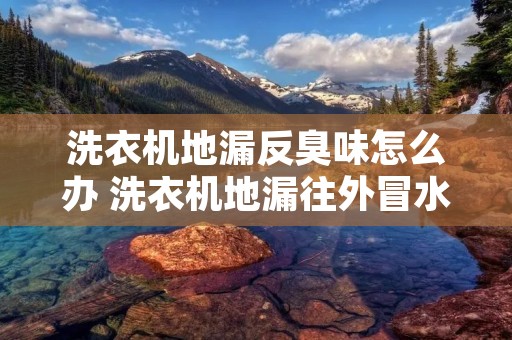 洗衣机地漏反臭味怎么办 洗衣机地漏往外冒水怎么办