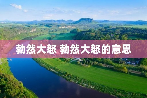 勃然大怒 勃然大怒的意思