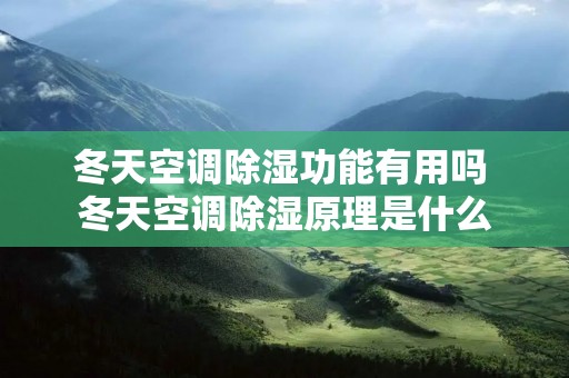 冬天空调除湿功能有用吗 冬天空调除湿原理是什么