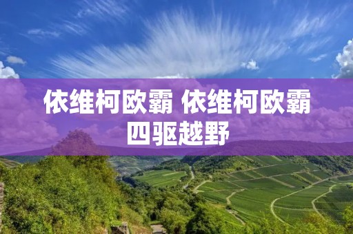 依维柯欧霸 依维柯欧霸四驱越野 依维柯欧霸 依维柯欧霸四驱越野