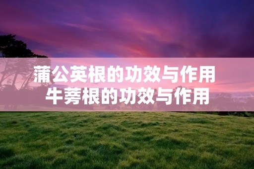 蒲公英根的功效与作用 牛蒡根的功效与作用