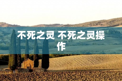 不死之灵 不死之灵操作