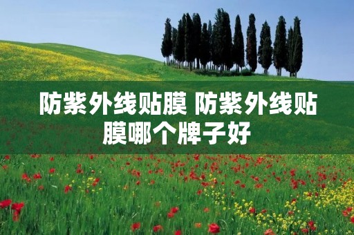 防紫外线贴膜 防紫外线贴膜哪个牌子好 防紫外线贴膜 防紫外线贴膜哪个牌子好