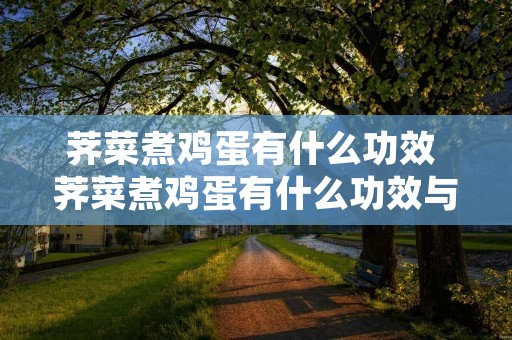 荠菜煮鸡蛋有什么功效 荠菜煮鸡蛋有什么功效与作用