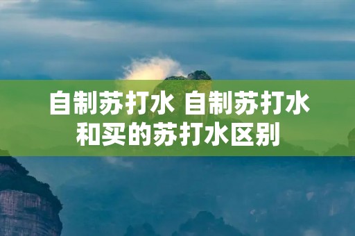 自制苏打水 自制苏打水和买的苏打水区别