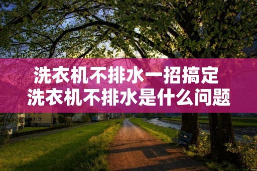 洗衣机不排水一招搞定 洗衣机不排水是什么问题怎么解决
