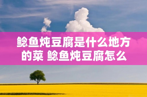 鲶鱼炖豆腐是什么地方的菜 鲶鱼炖豆腐怎么做?