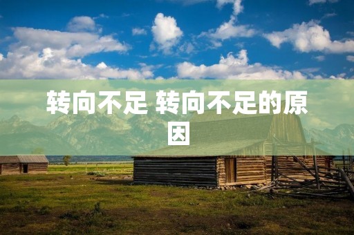 转向不足 转向不足的原因